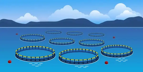 Fish Farming In the Cage 