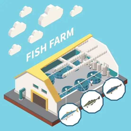 indoor Fish Farming