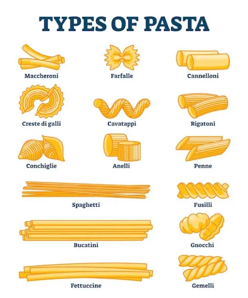 Different Types Of Pasta | पास्ता बनाने का बिसनेस