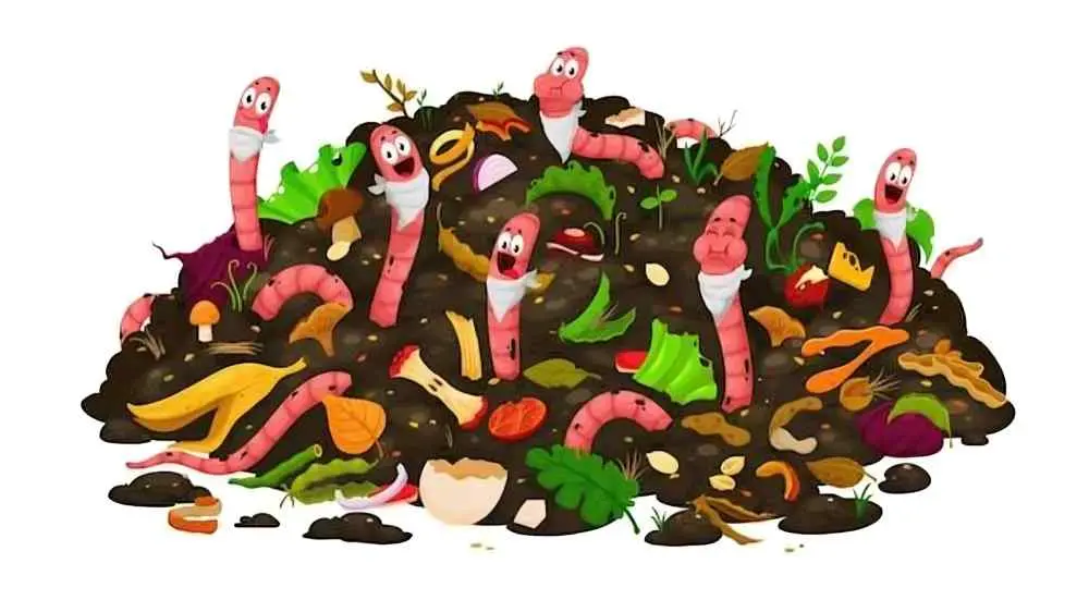 Earthworms Making Vermycompost