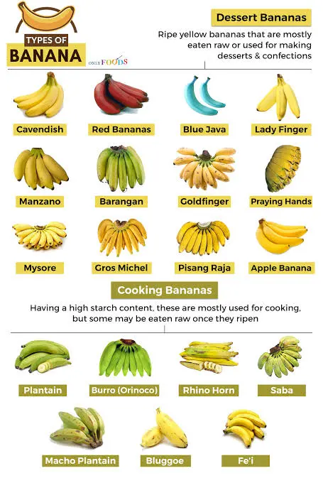Types Of Banana
