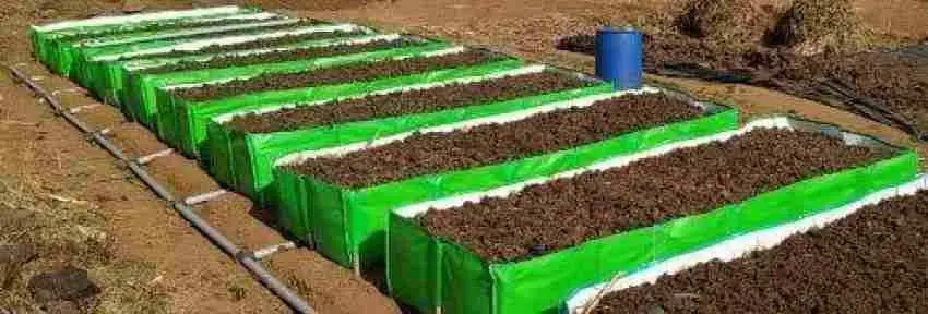 Vermi Compost Beds